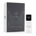 What We Do Is Secret (A Lab on Fire) What We Do In Paris Is Secret парфюмерная вода 60 мл
