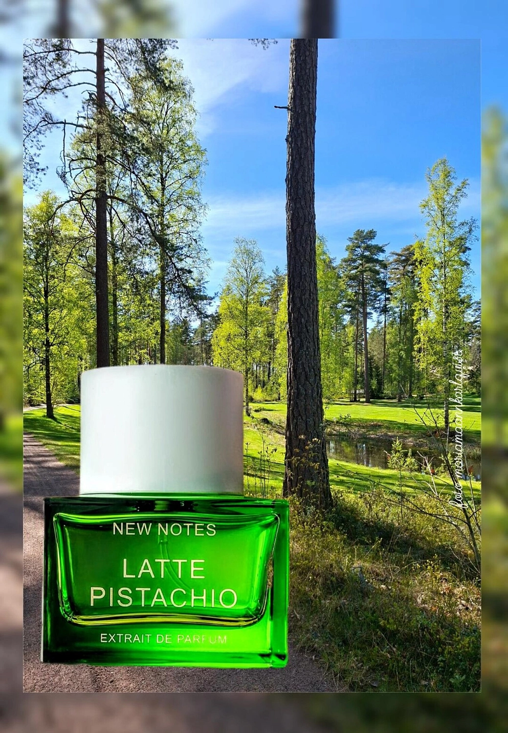 New Notes Latte Pistachio