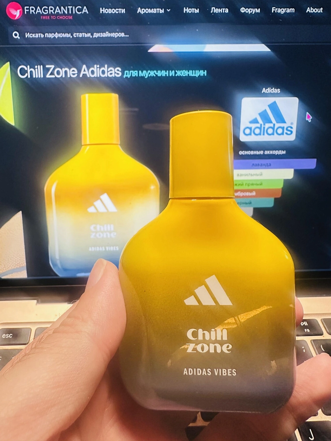 Adidas Chill Zone