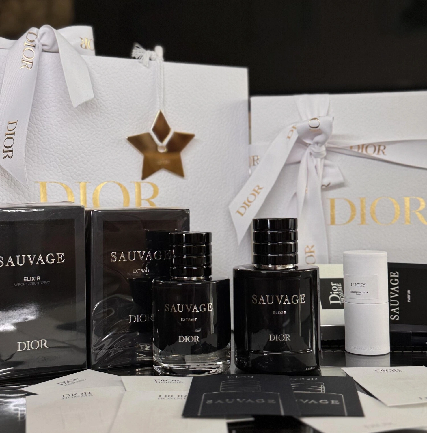 Christian Dior Sauvage Elixir