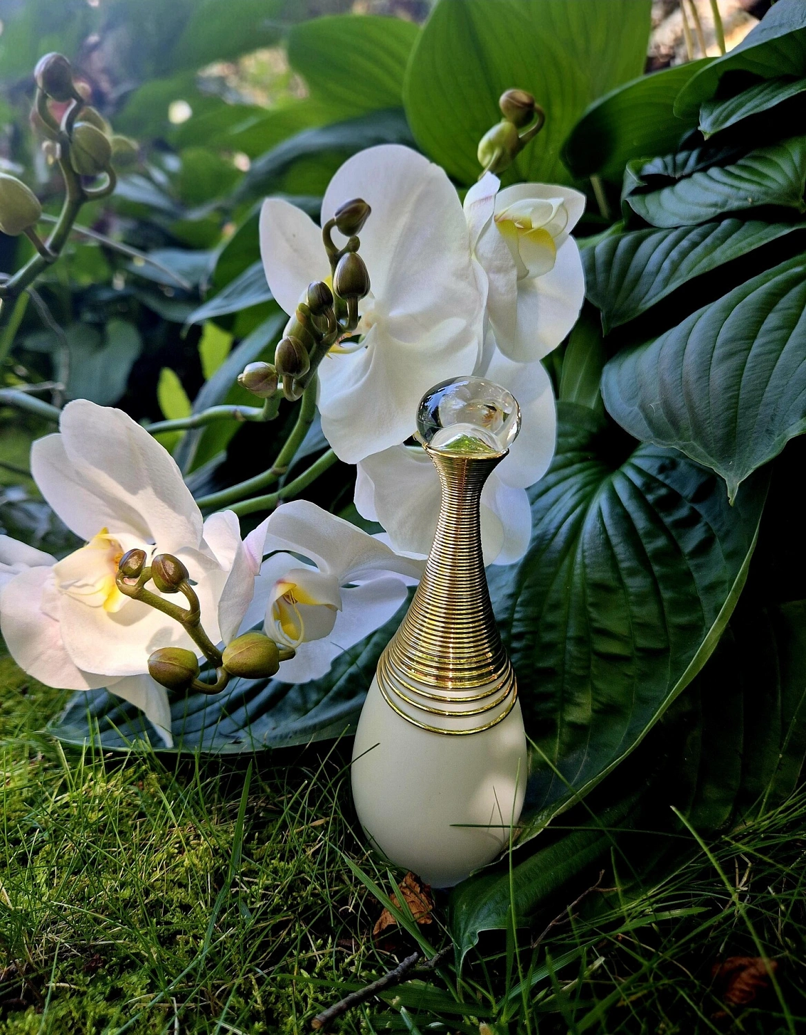 Christian Dior J'adore Parfum d'Eau