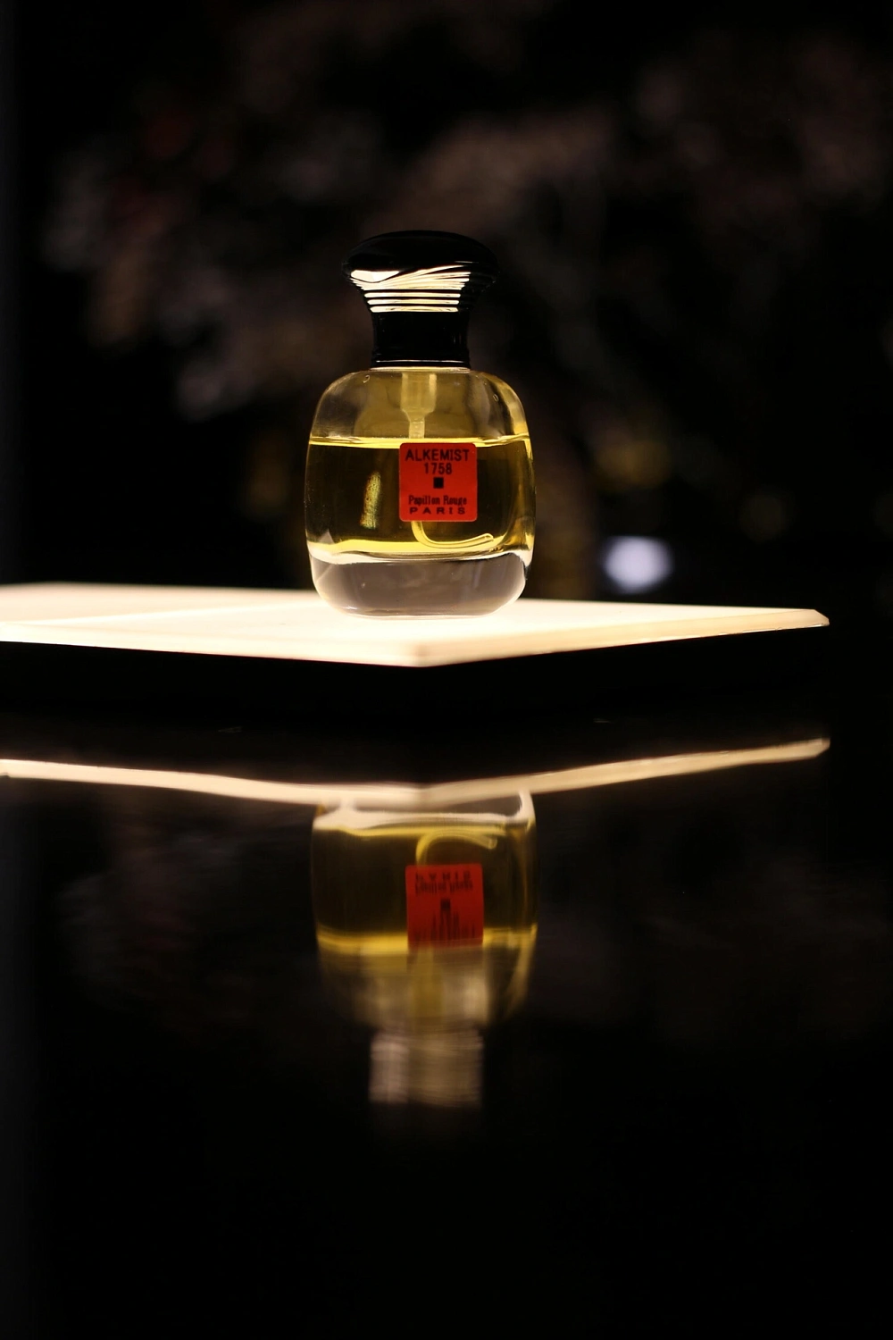 Binet-Papillon N° 1 Alkemist Pepper
