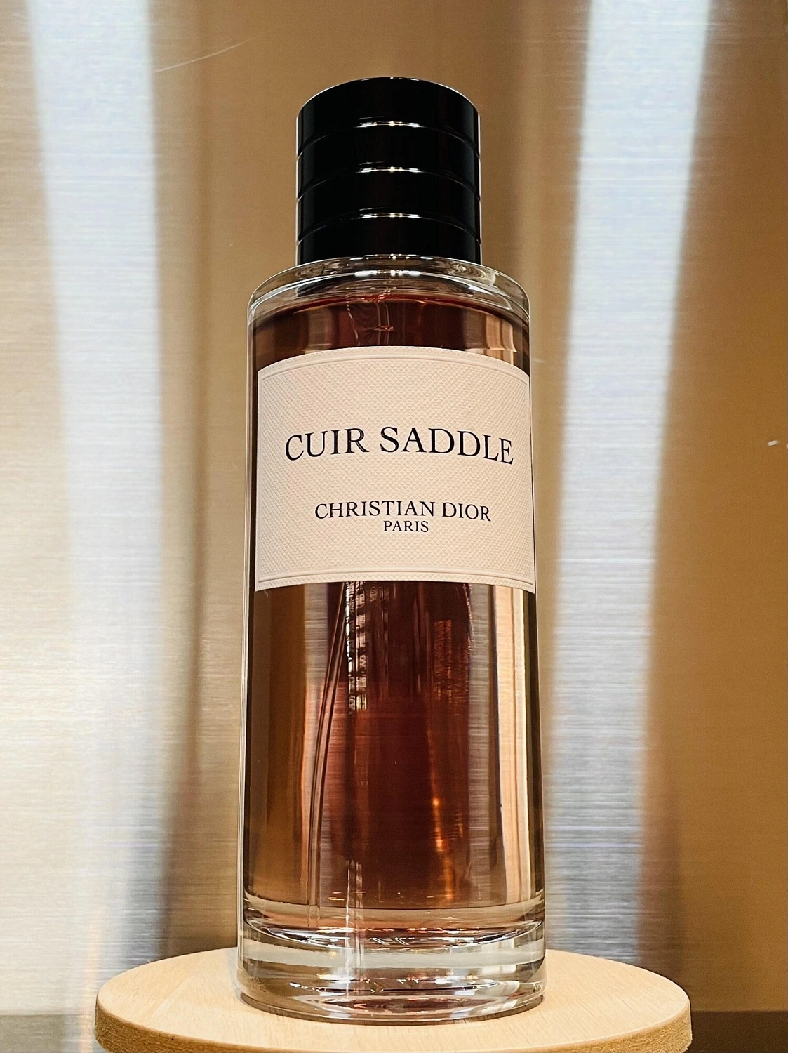 Christian Dior Cuir Saddle