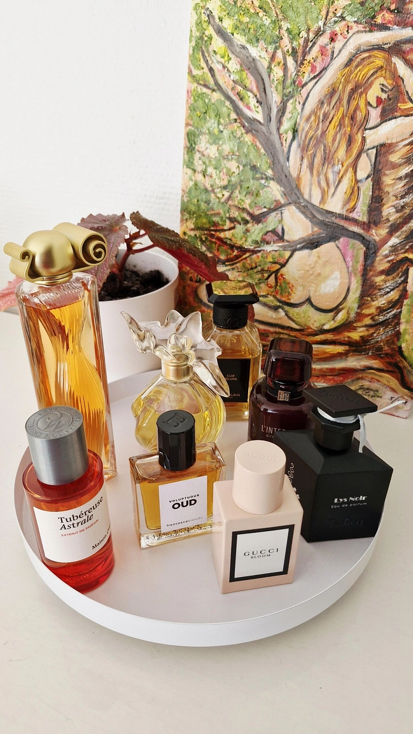 Francesca Bianchi Voluptuous Oud