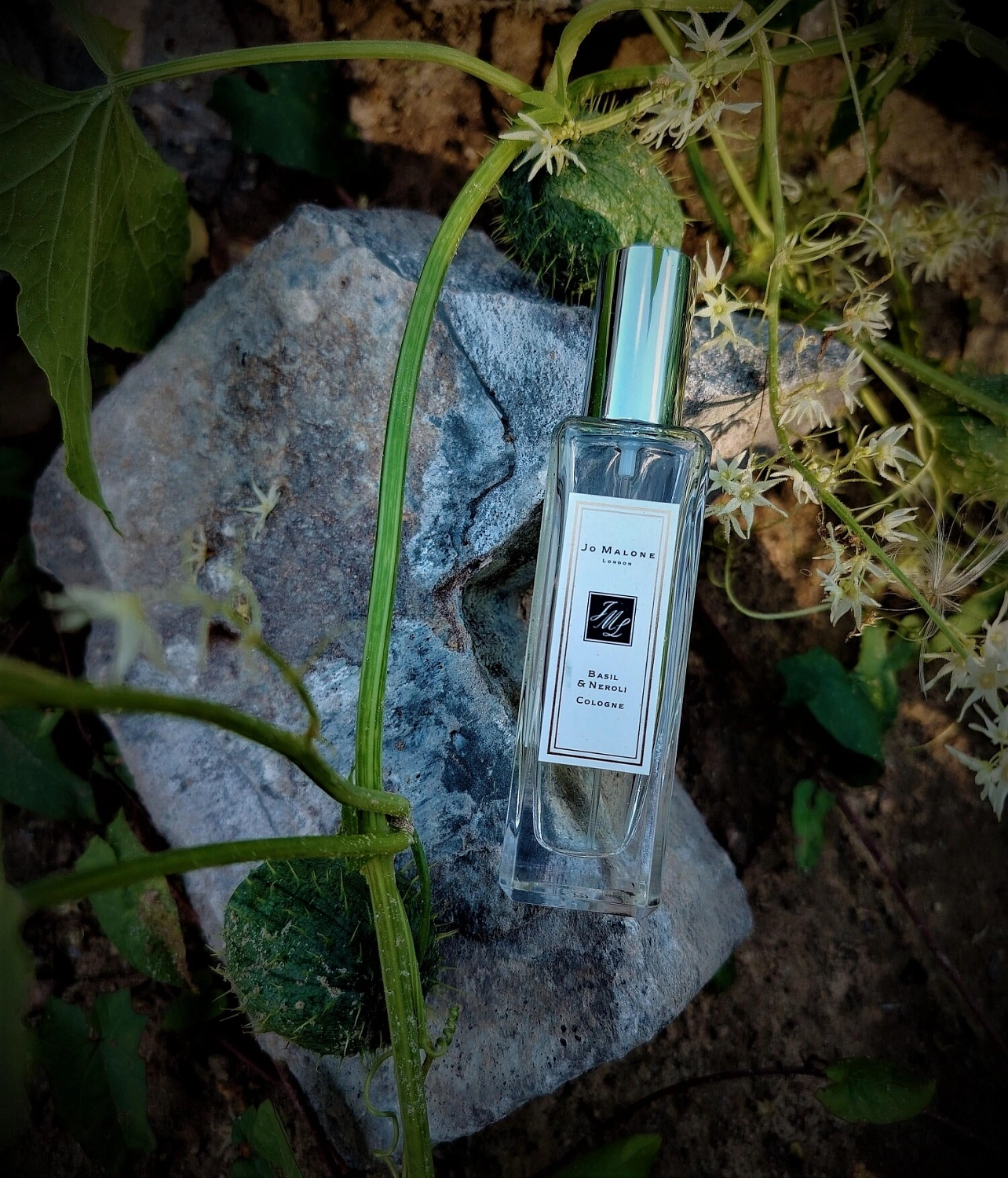 Jo Malone Basil & Neroli