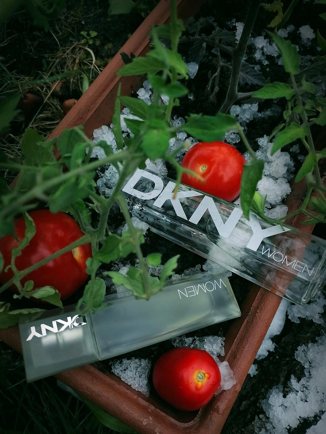 DKNY Women (Energizing)