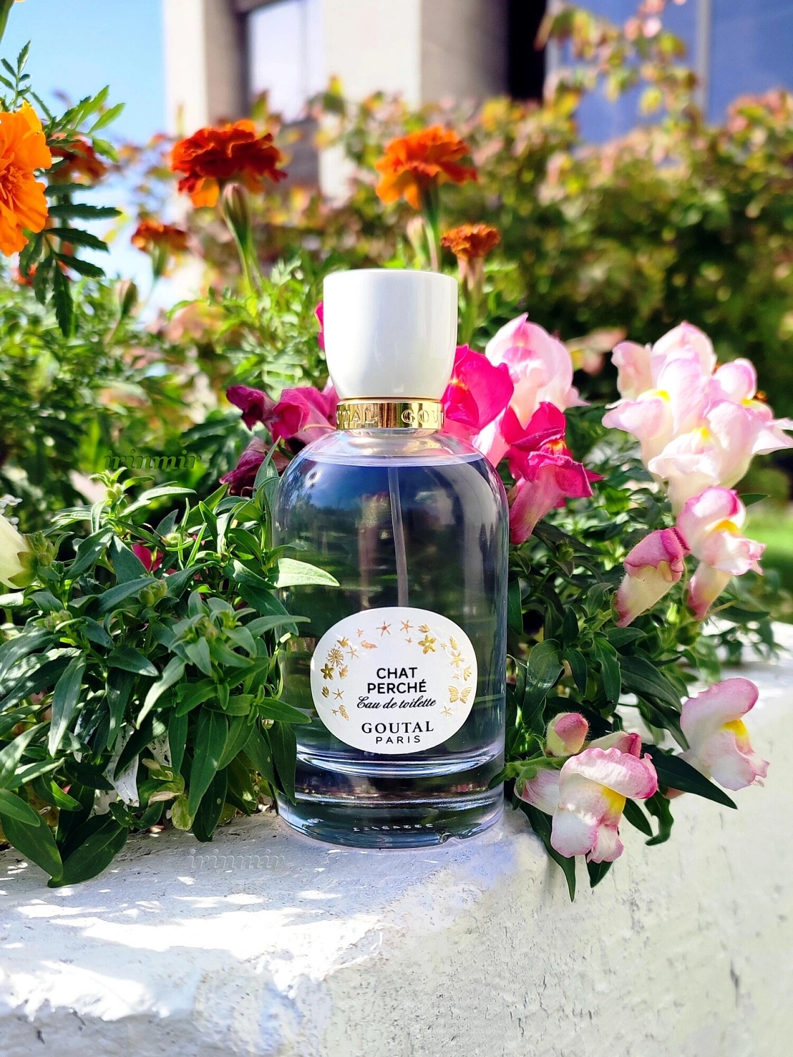 Annick Goutal Chat Perche