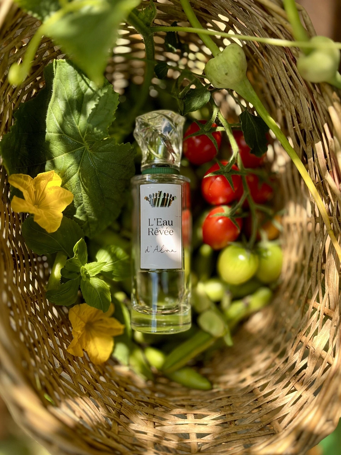 Sisley L'Eau Revee D'Alma