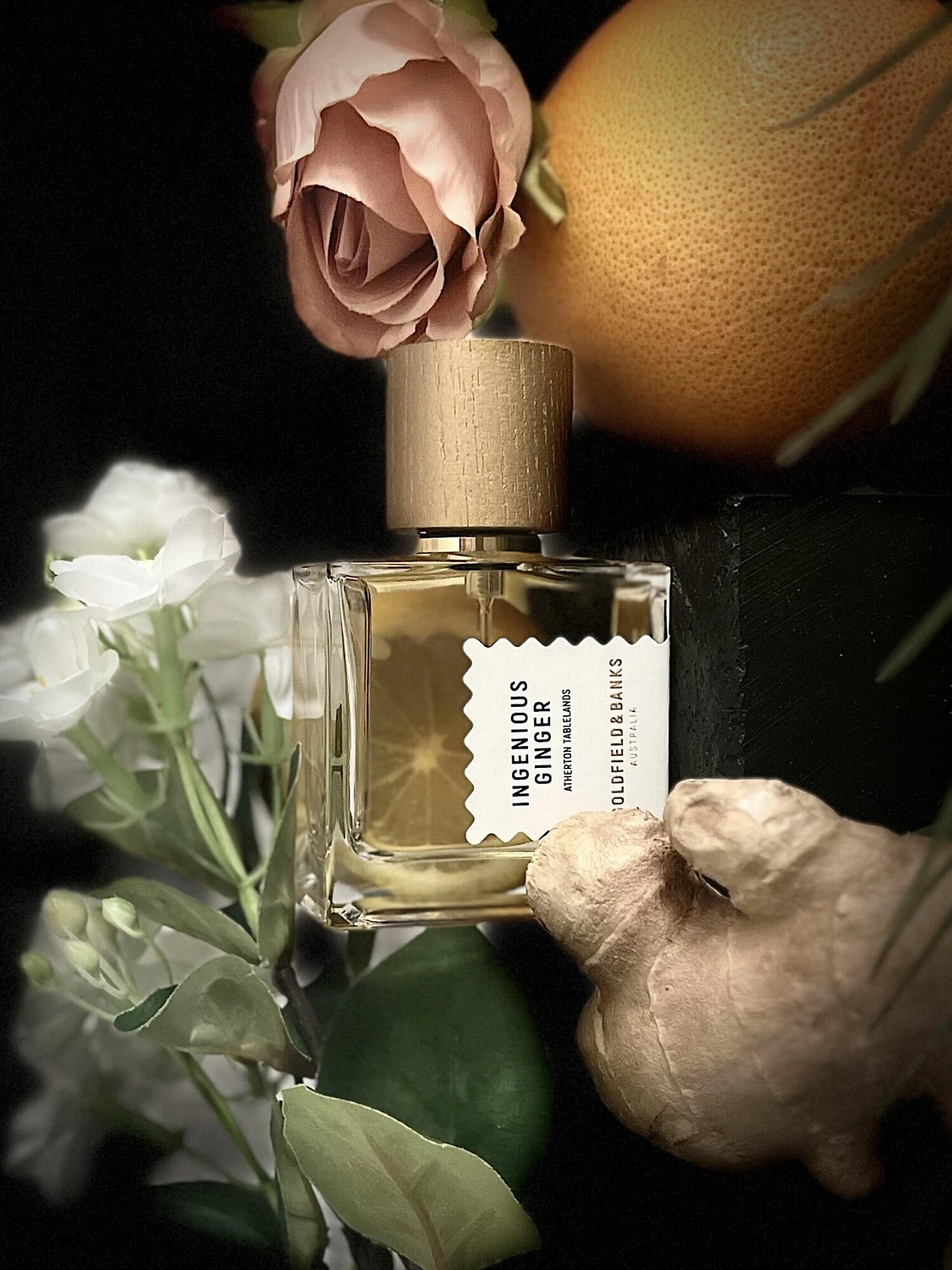Goldfield & Banks Australia Ingenious Ginger