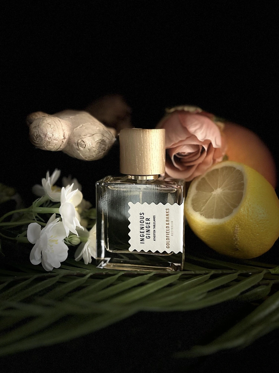 Goldfield & Banks Australia Ingenious Ginger