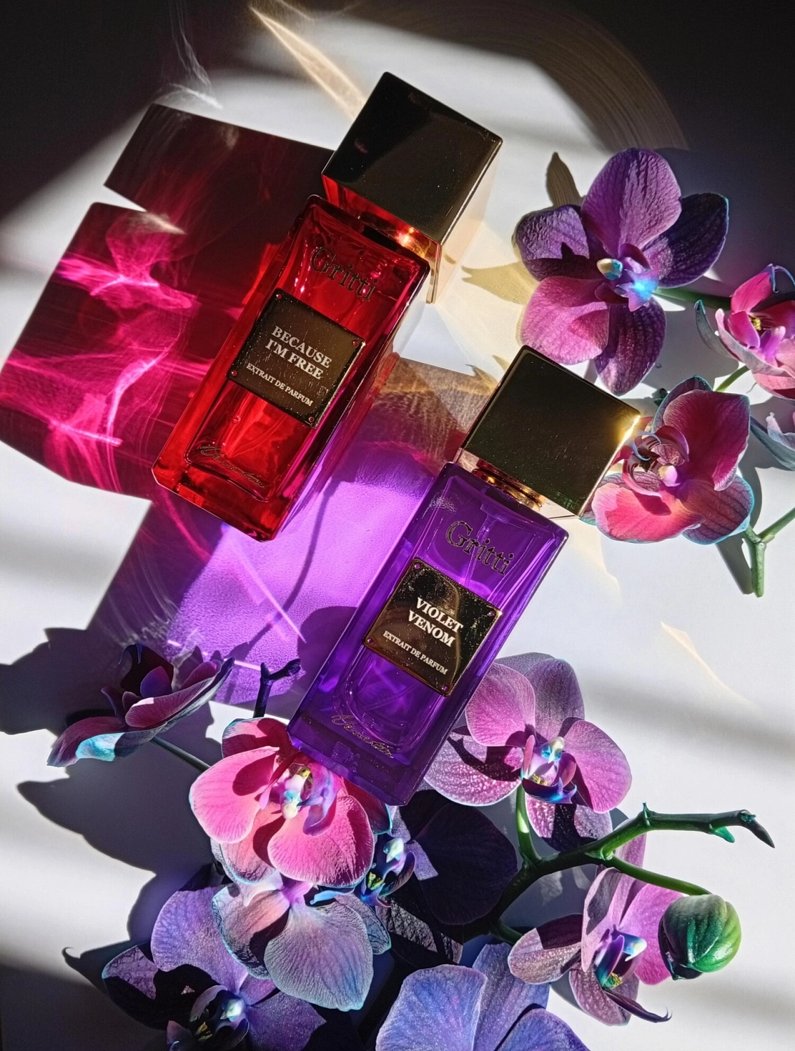 Gritti Violet Venom