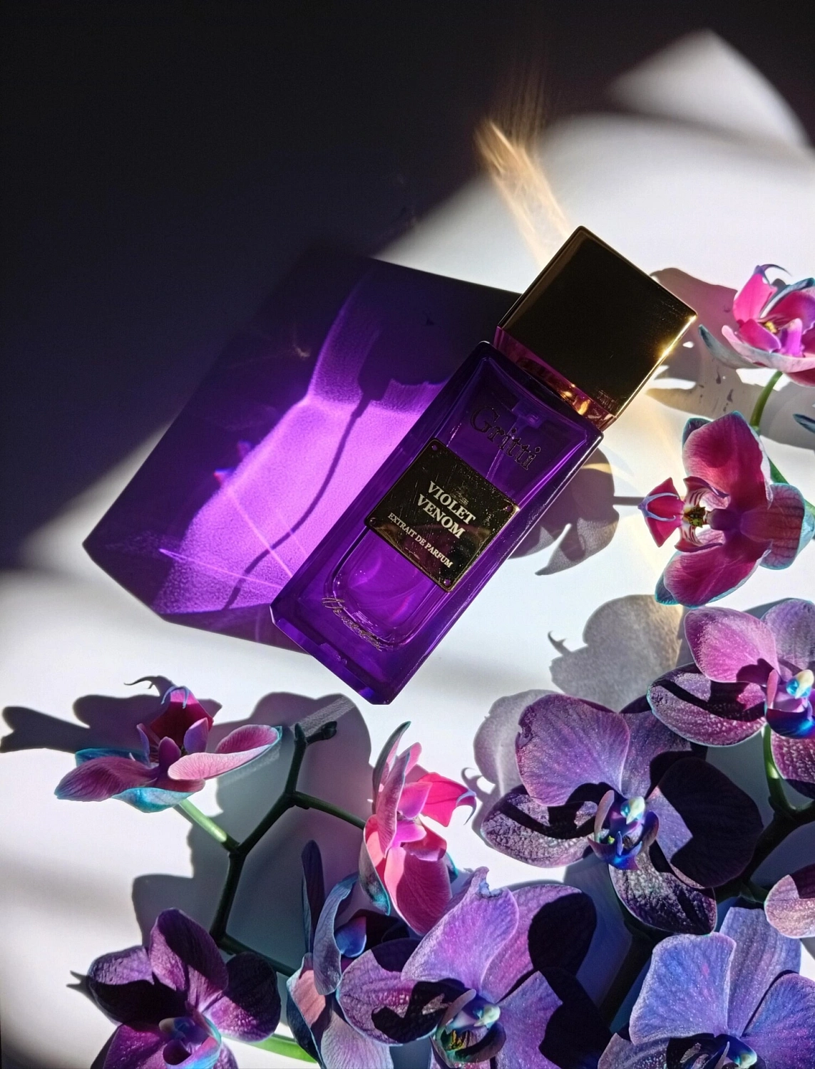 Gritti Violet Venom