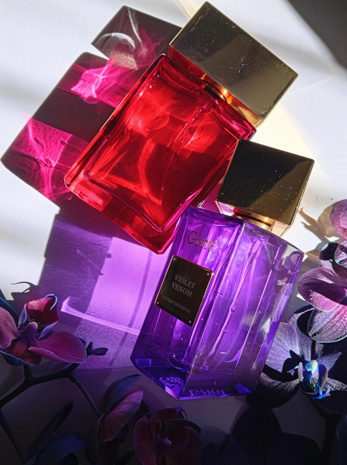 Gritti Violet Venom