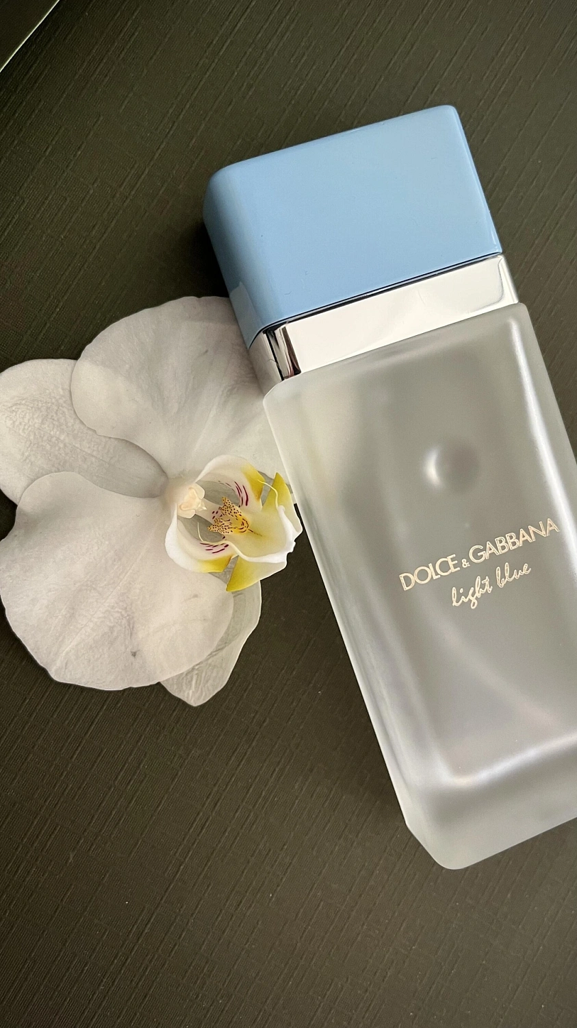 Dolce & Gabbana Light Blue Eau de Toilette 2025