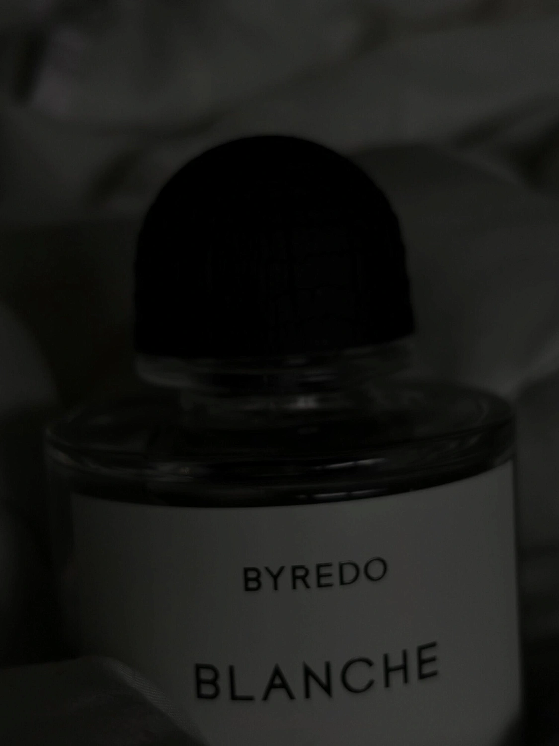 BYREDO Blanche Absolu