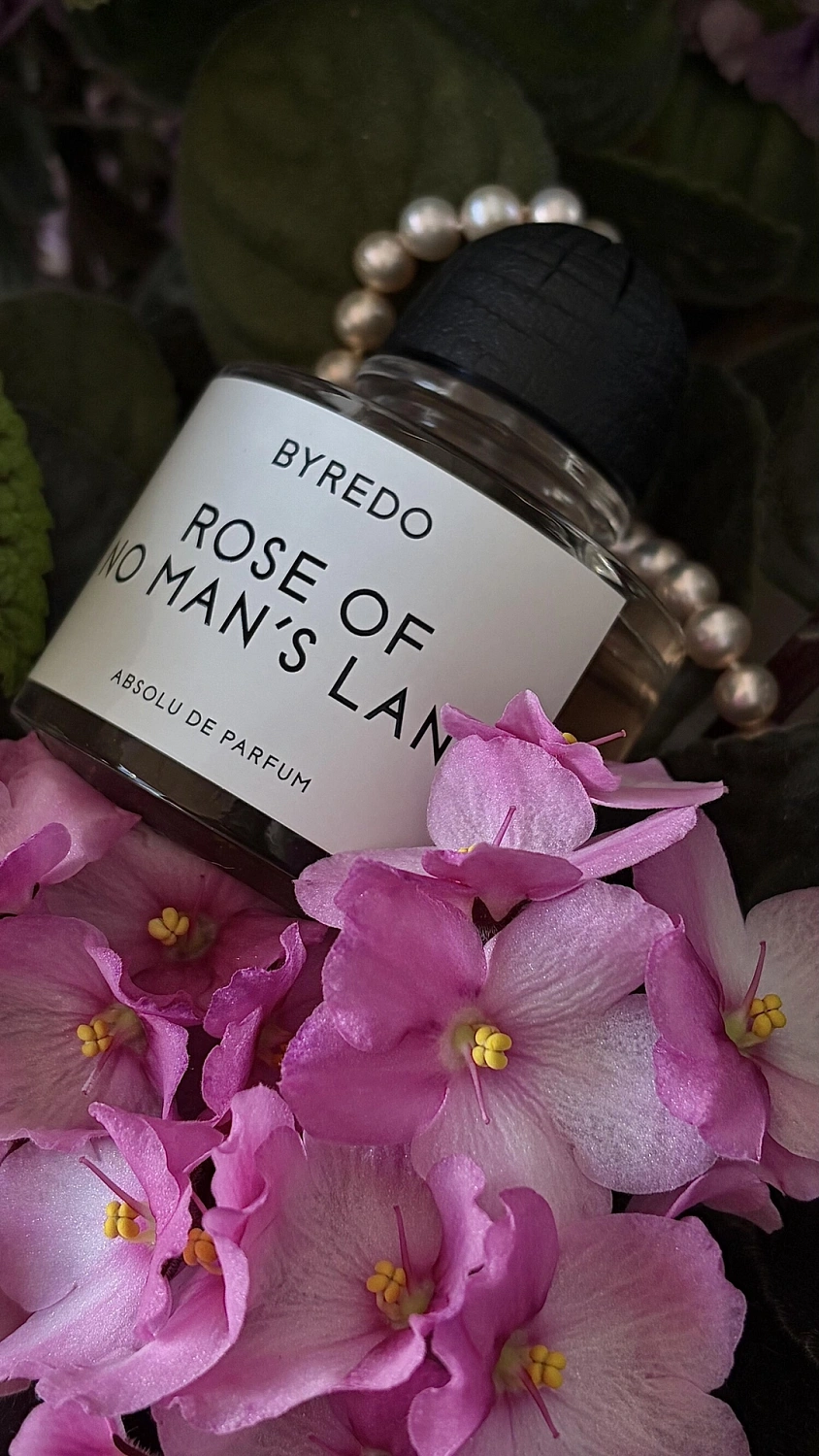 BYREDO Rose of No Man's Land Absolu