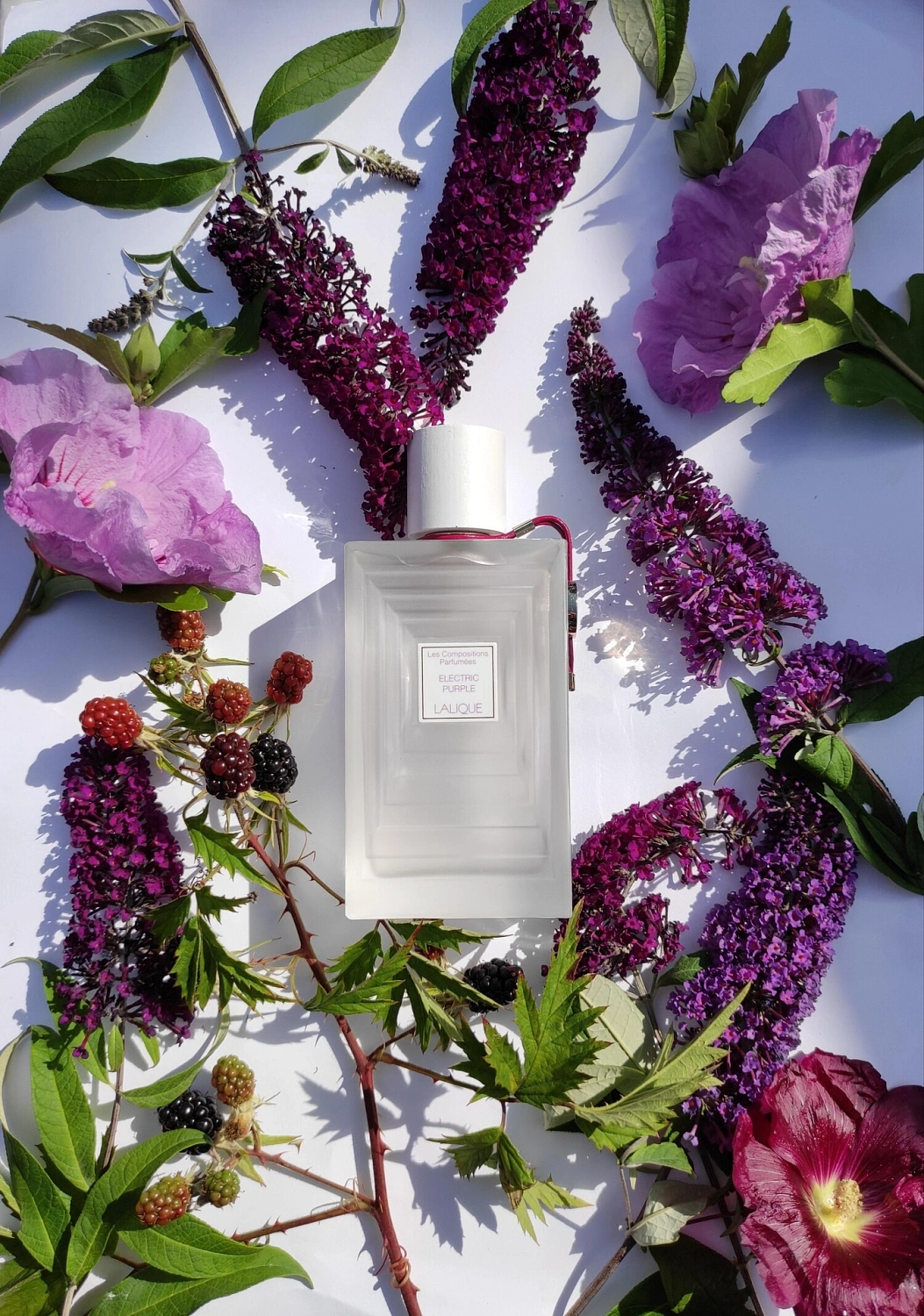 Lalique Electric Purple