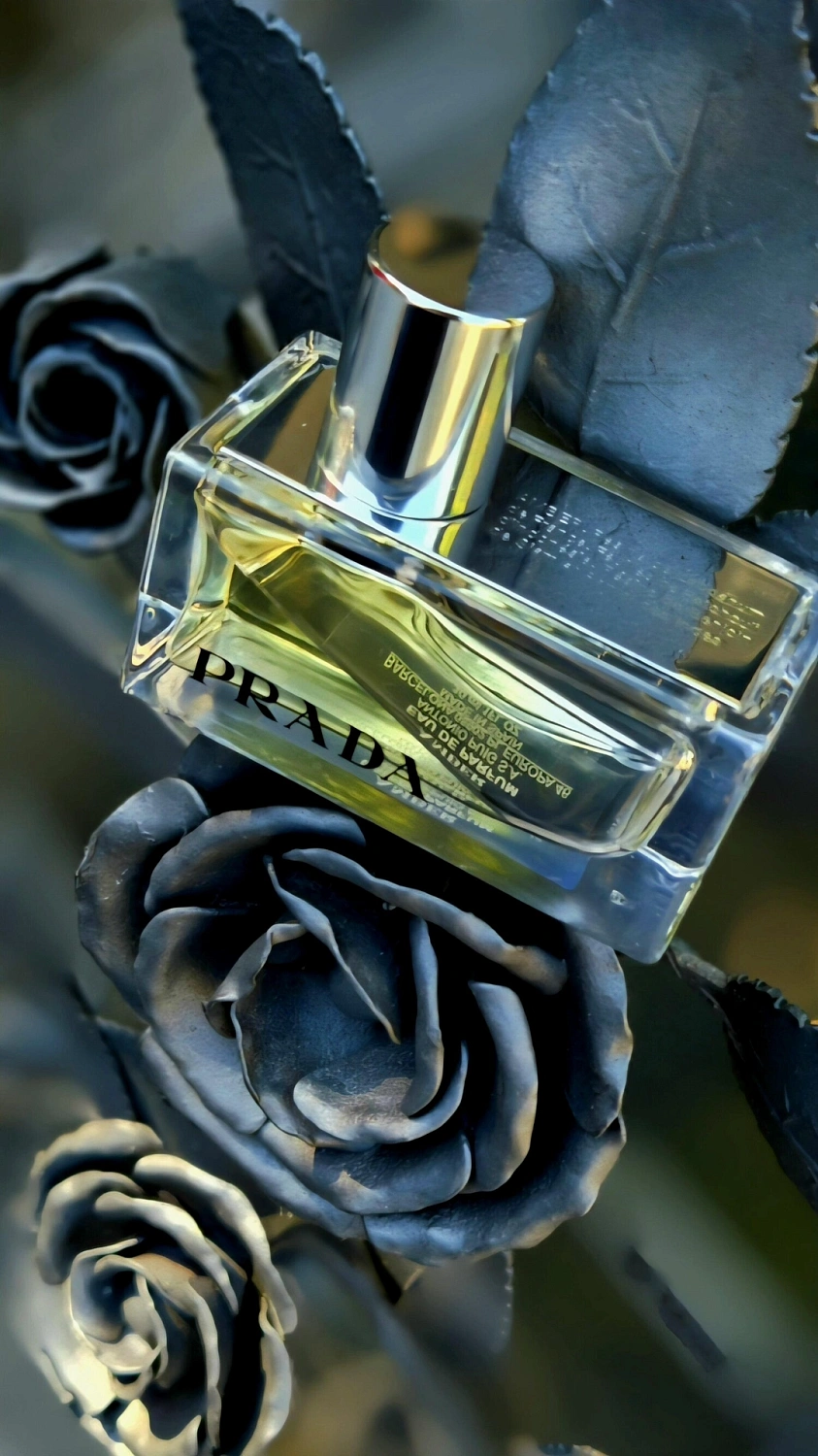 Prada Amber