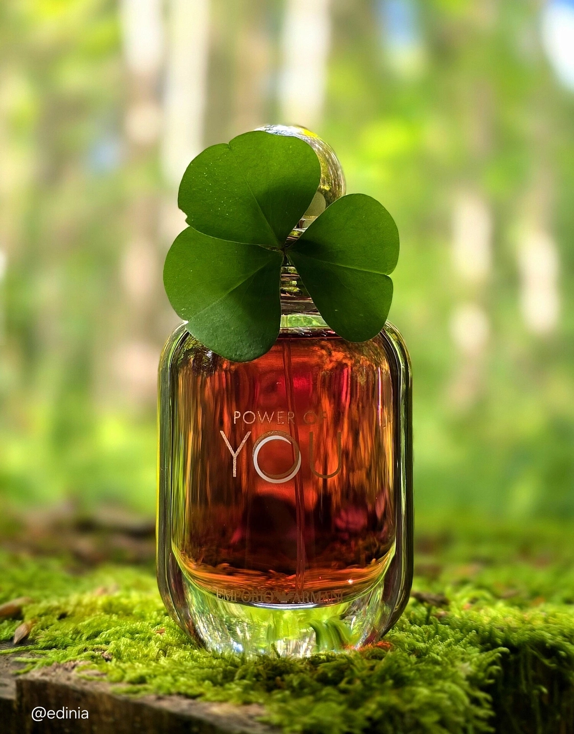Armani Power Of You