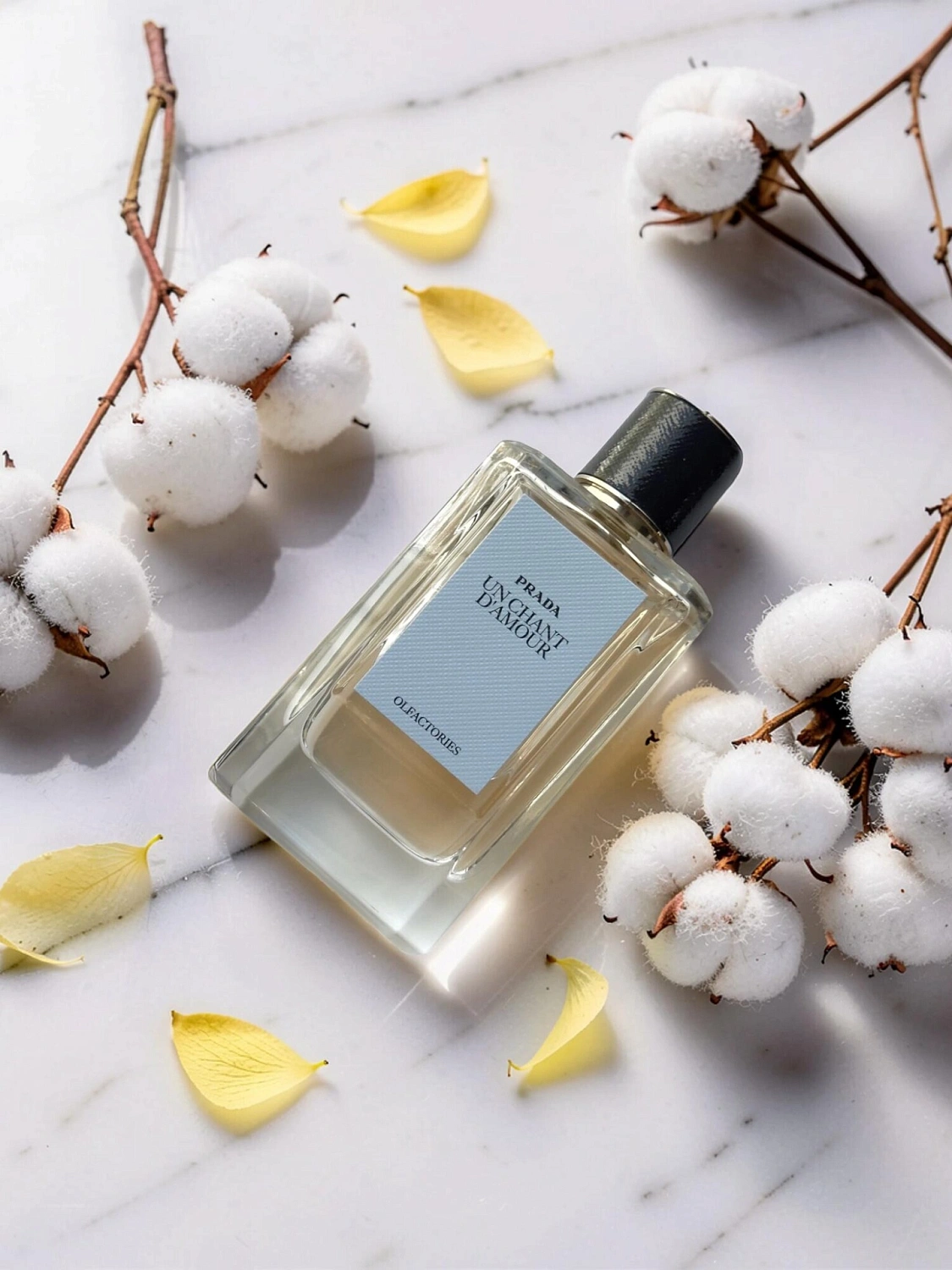 Prada Un Chant D'Amour