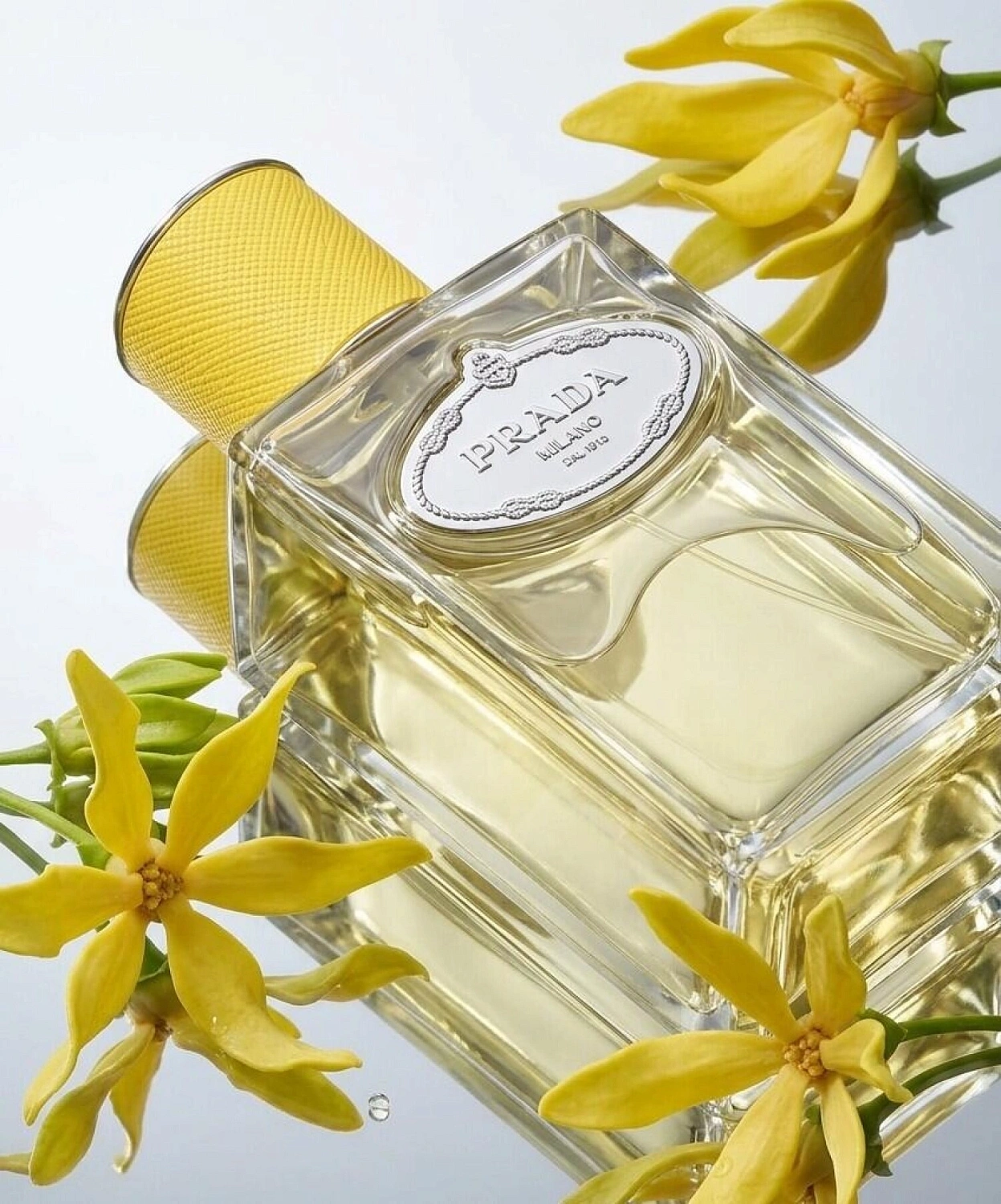 Prada Infusion d'Ylang