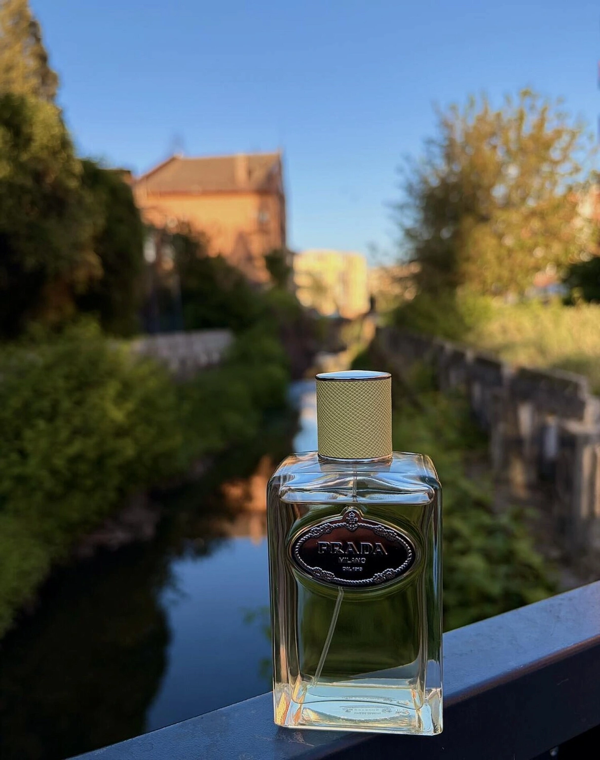 Prada Infusion de Gingembre