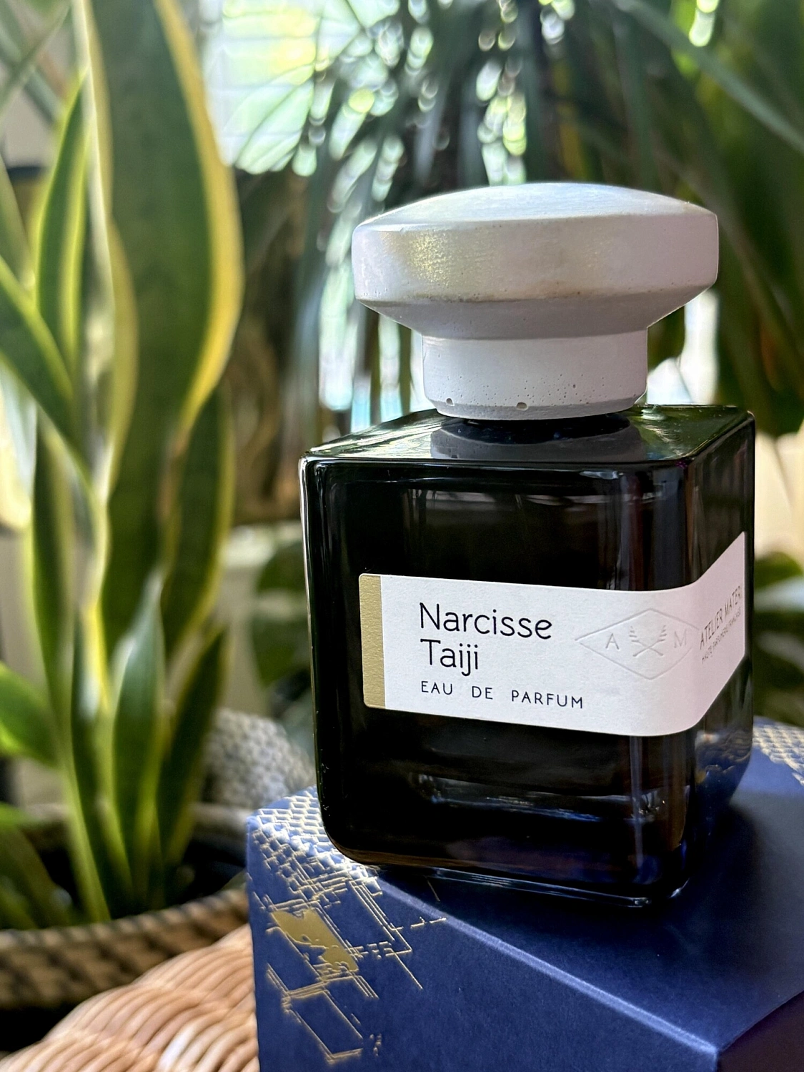 Atelier Materi Narcisse Taiji