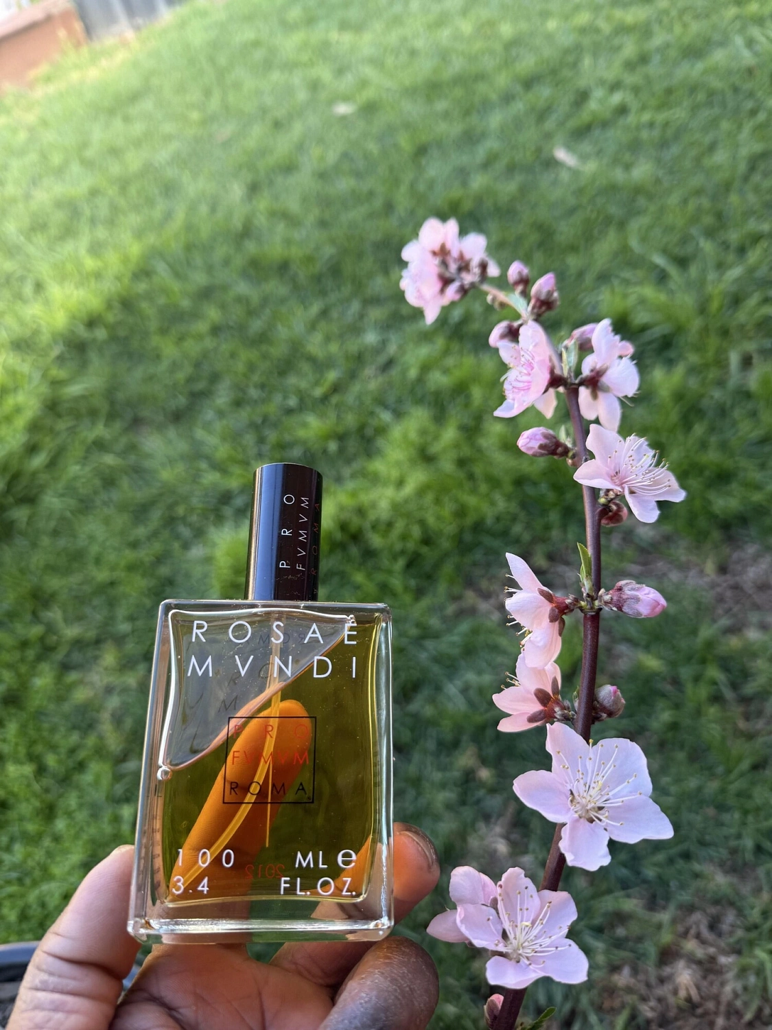 Profumum Roma Rosae Mundi
