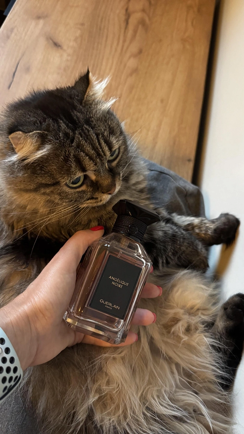 Guerlain Angelique Noire