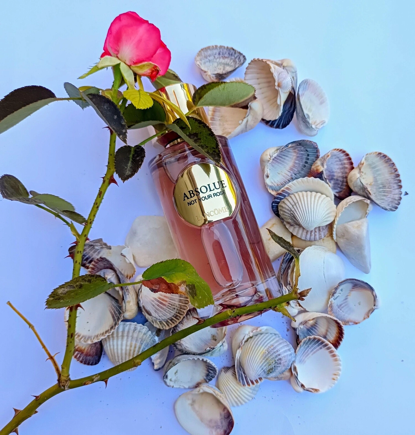 Lancôme Absolue Not Your Rose