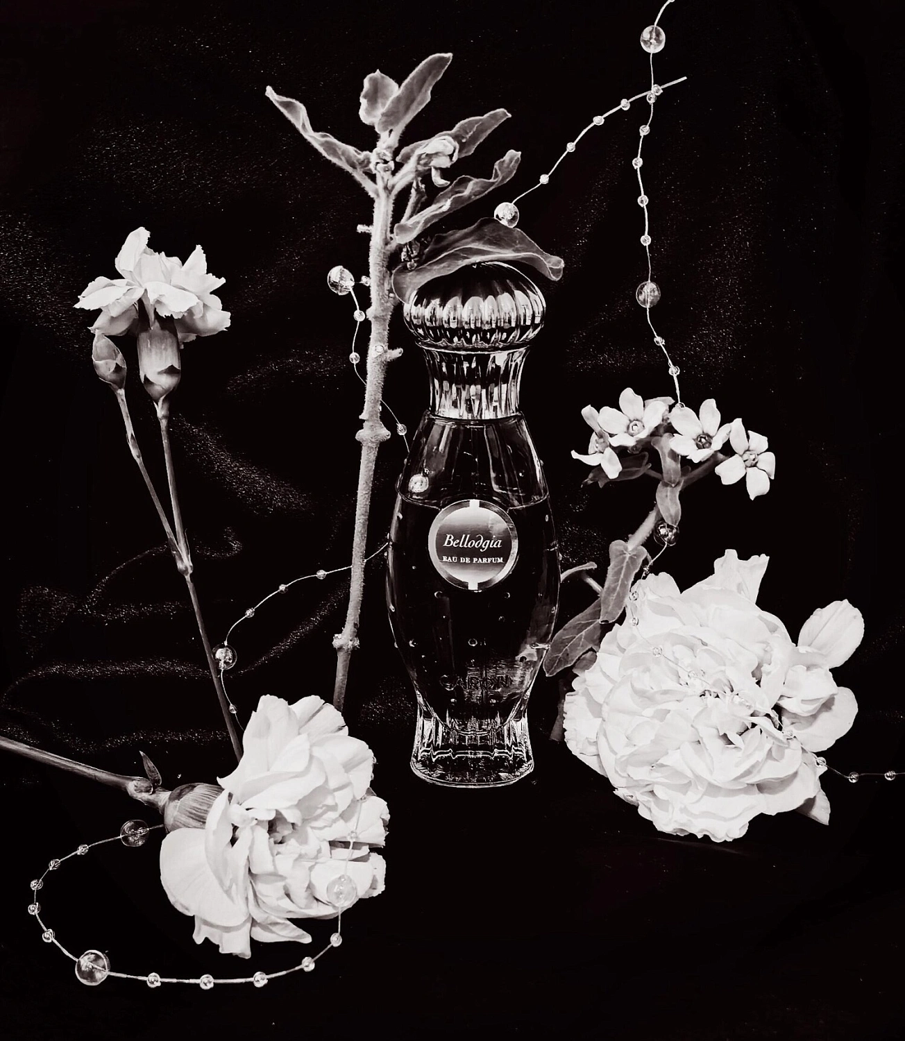 Caron Bellodgia