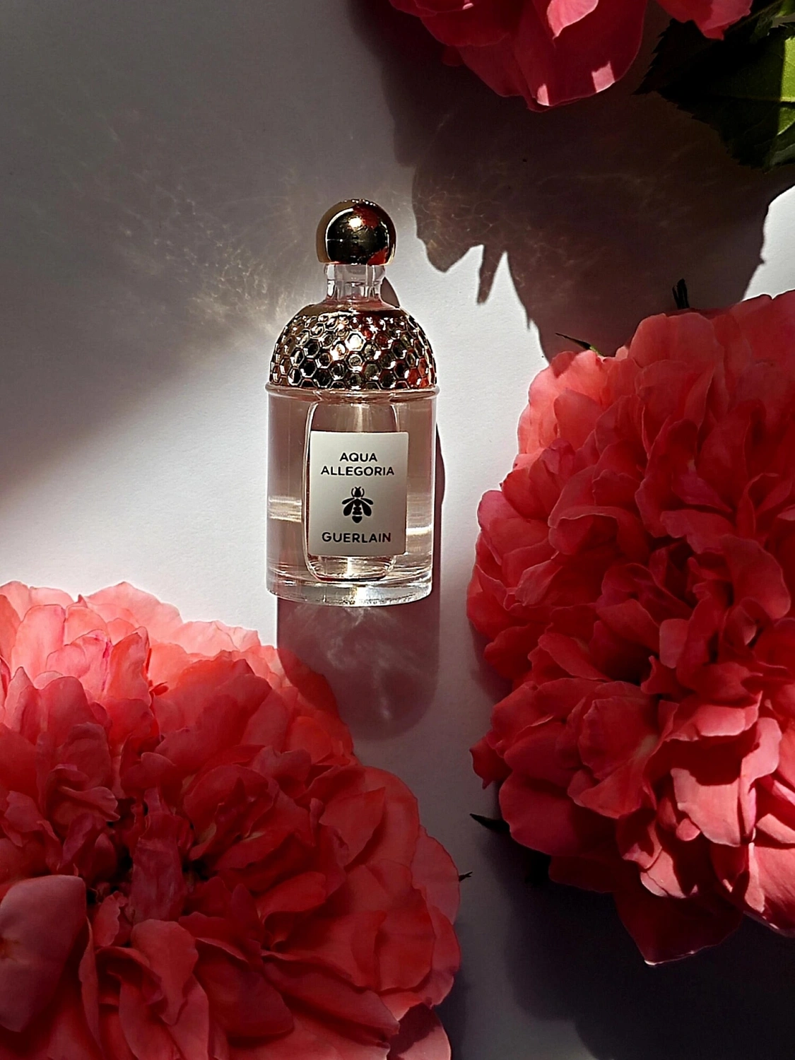 Guerlain Aqua Allegoria Rosa Rossa