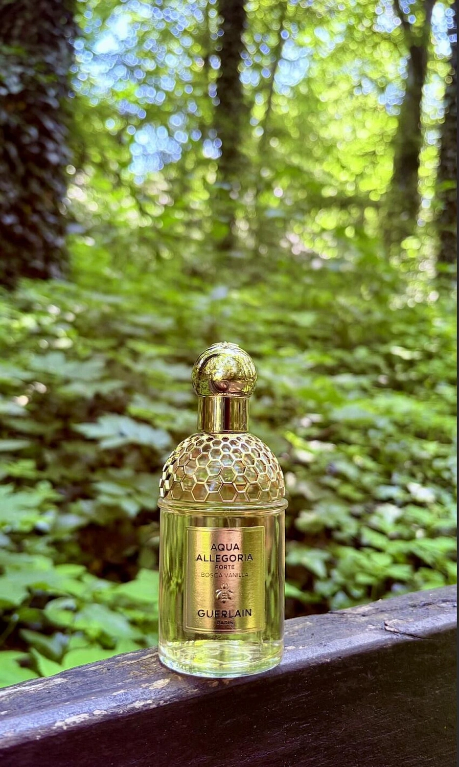 Guerlain Aqua Allegoria Forte Bosca Vanilla