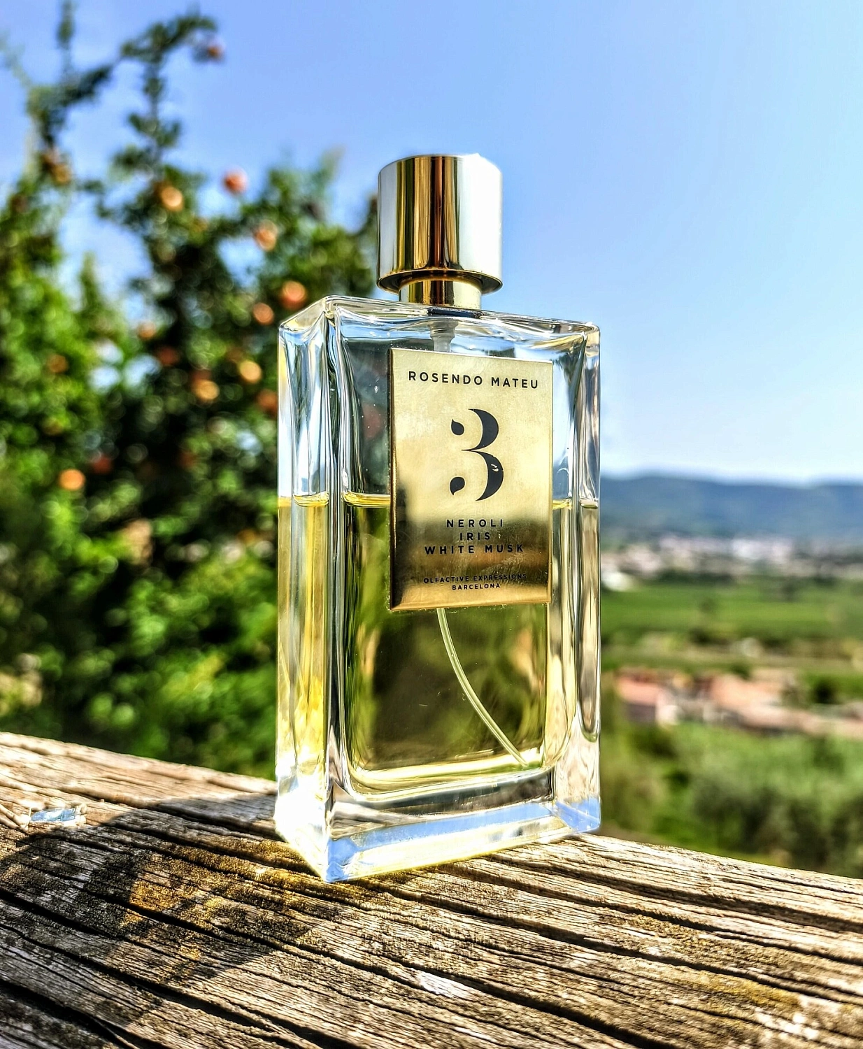 Rosendo Mateu Olfactive Expressions Rosendo Mateu Nº 3 Neroli, Iris, White Musk