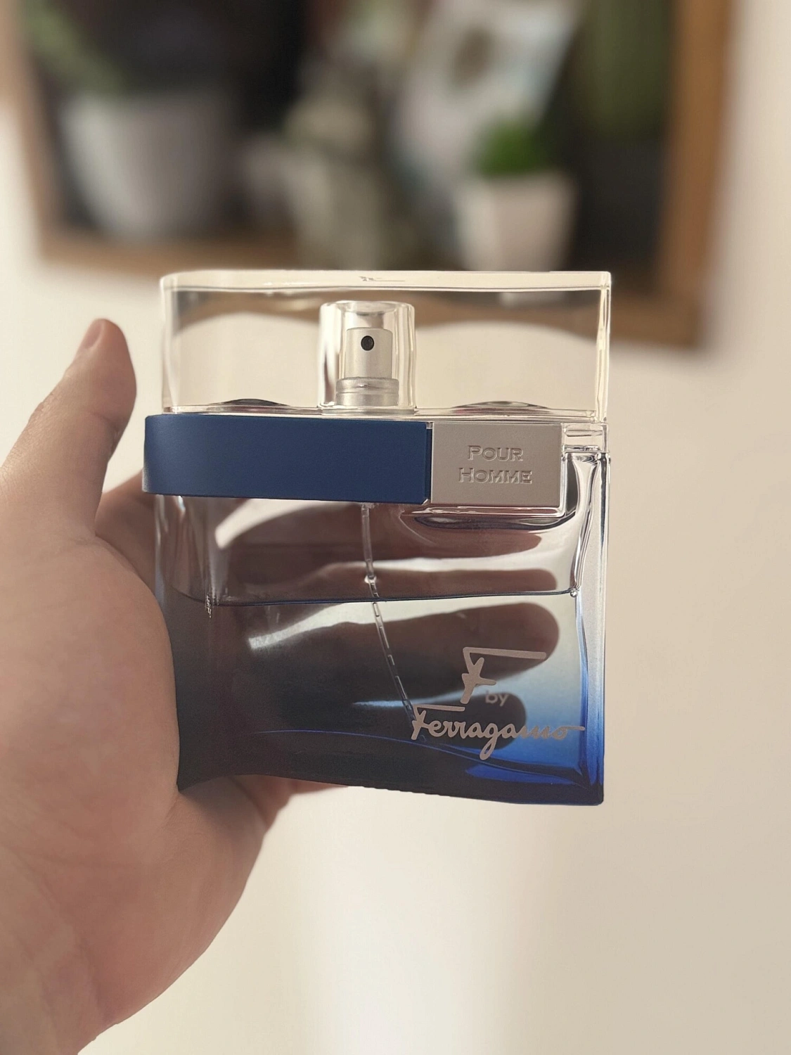 Salvatore Ferragamo F by Ferragamo Free Time
