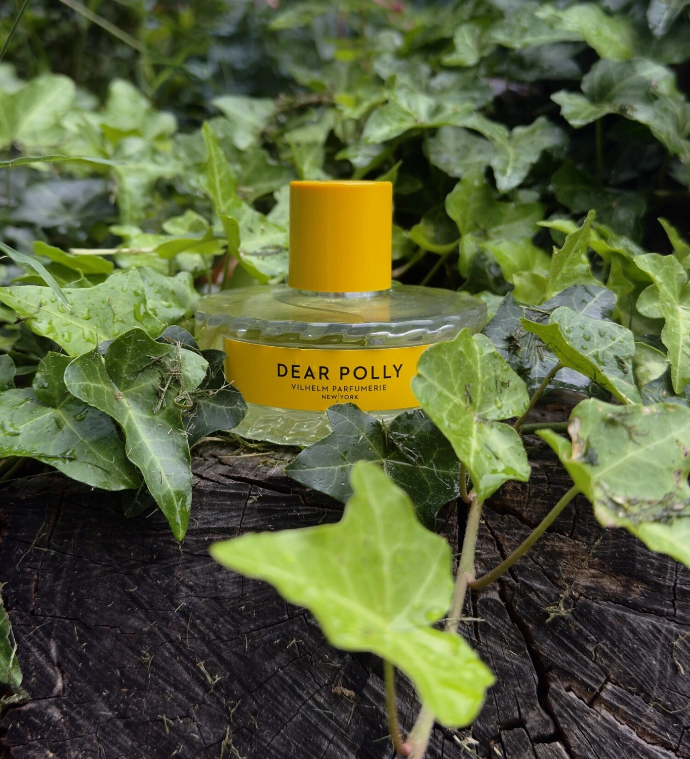 Vilhelm Parfumerie Dear Polly