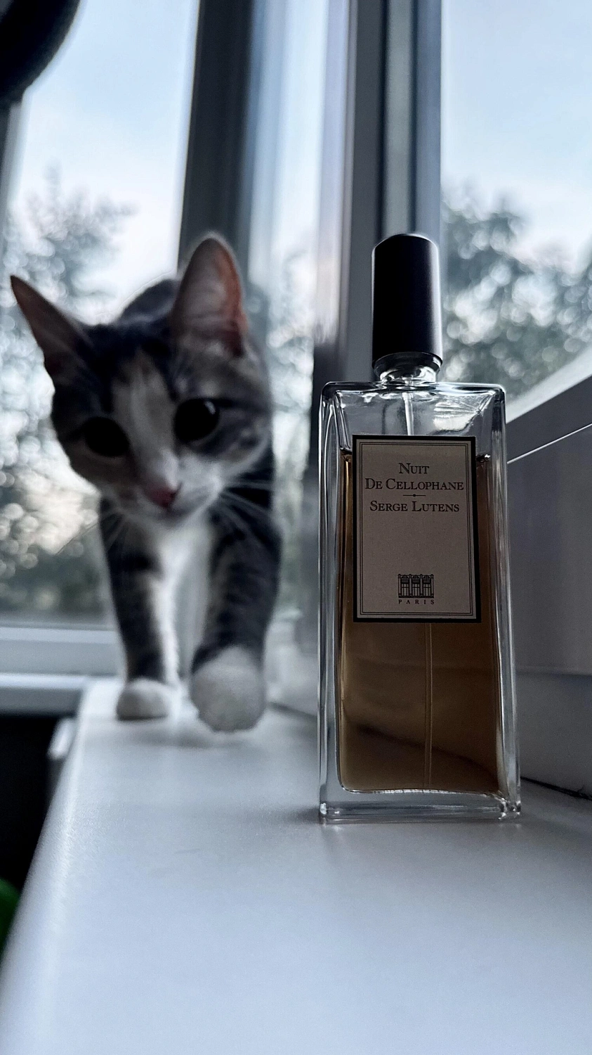 Serge Lutens Nuit de Cellophane