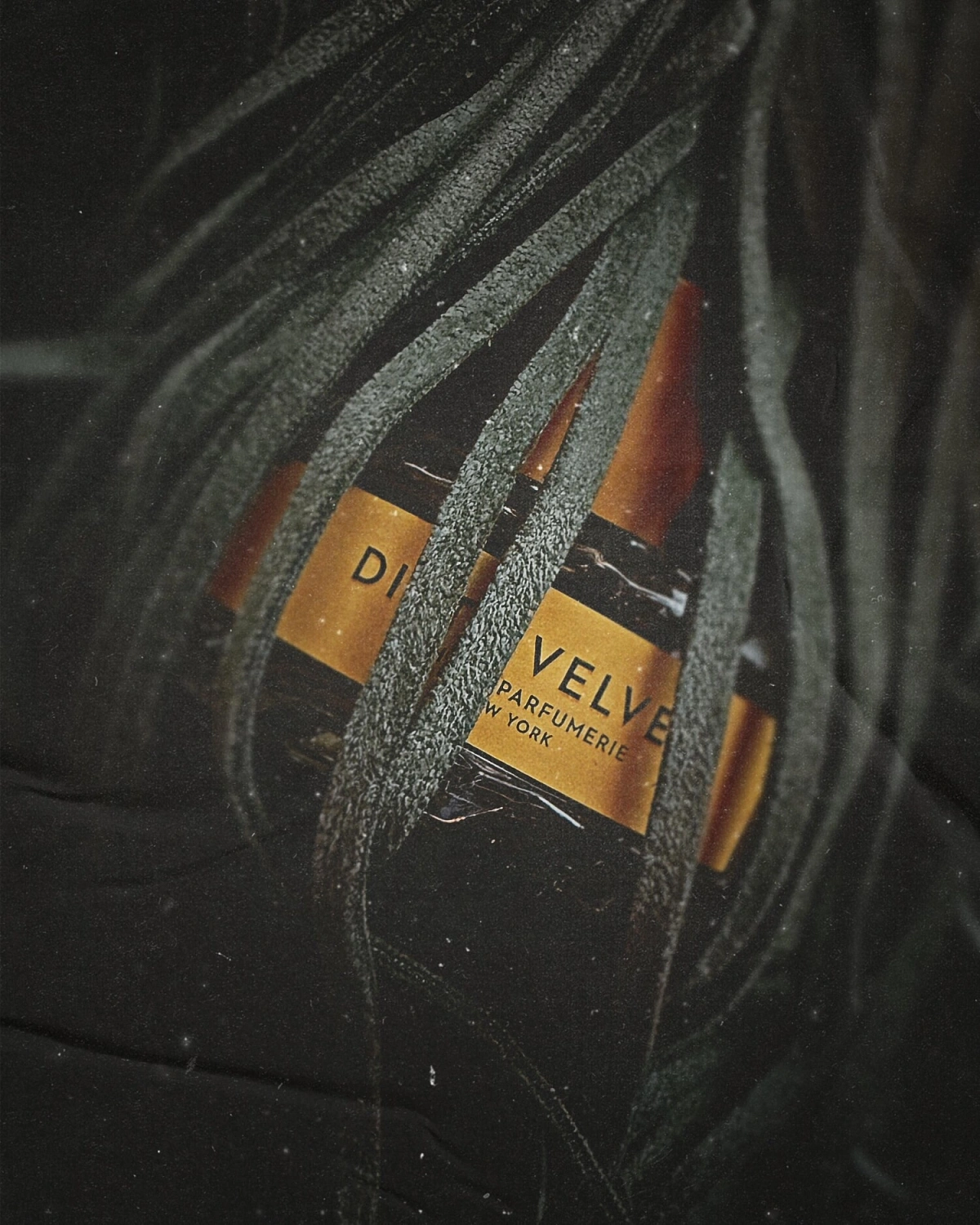 Vilhelm Parfumerie Dirty Velvet