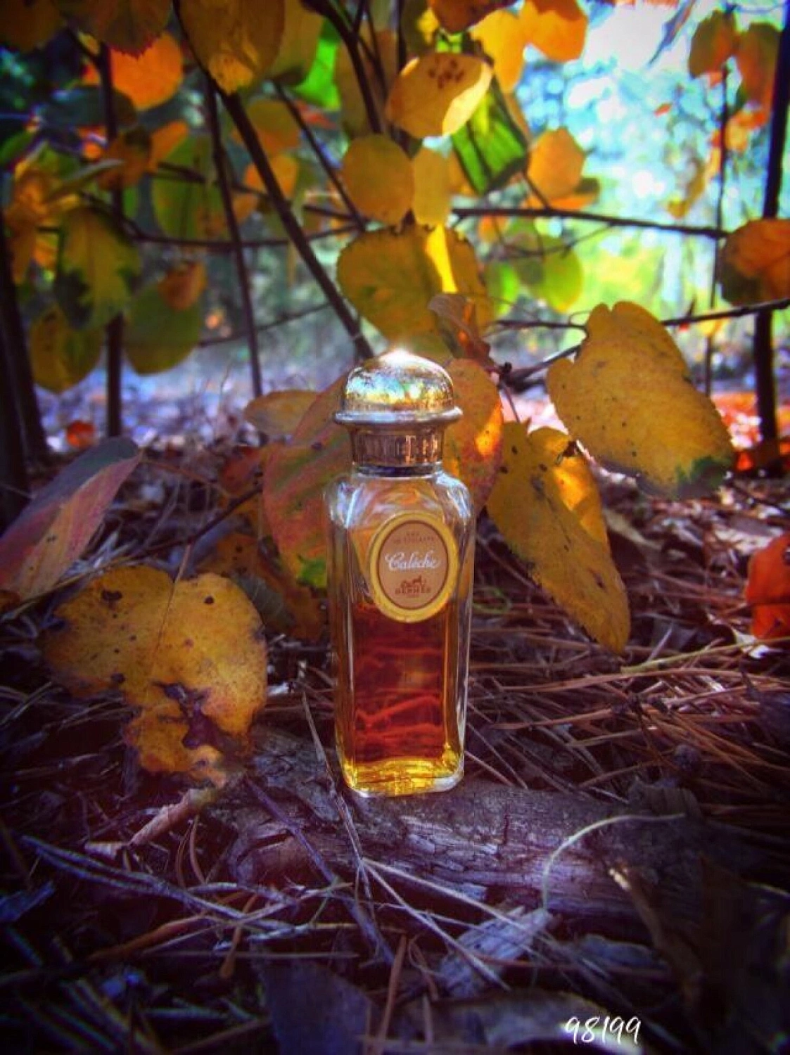 Hermès Caleche Soie de Parfum