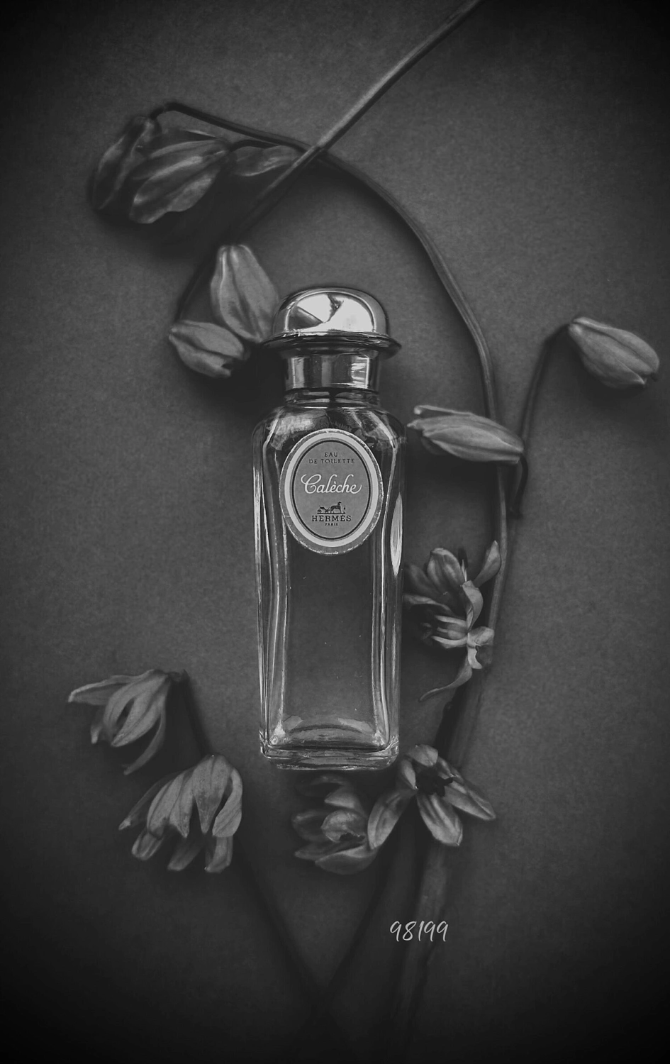 Hermès Caleche Soie de Parfum