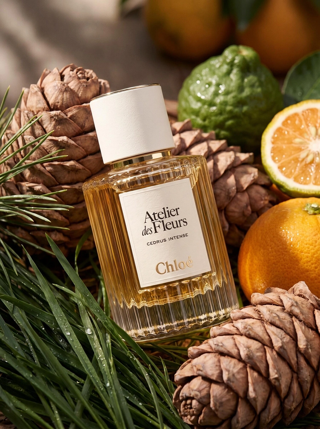Chloé Atelier Des Fleurs Cedrus Intense