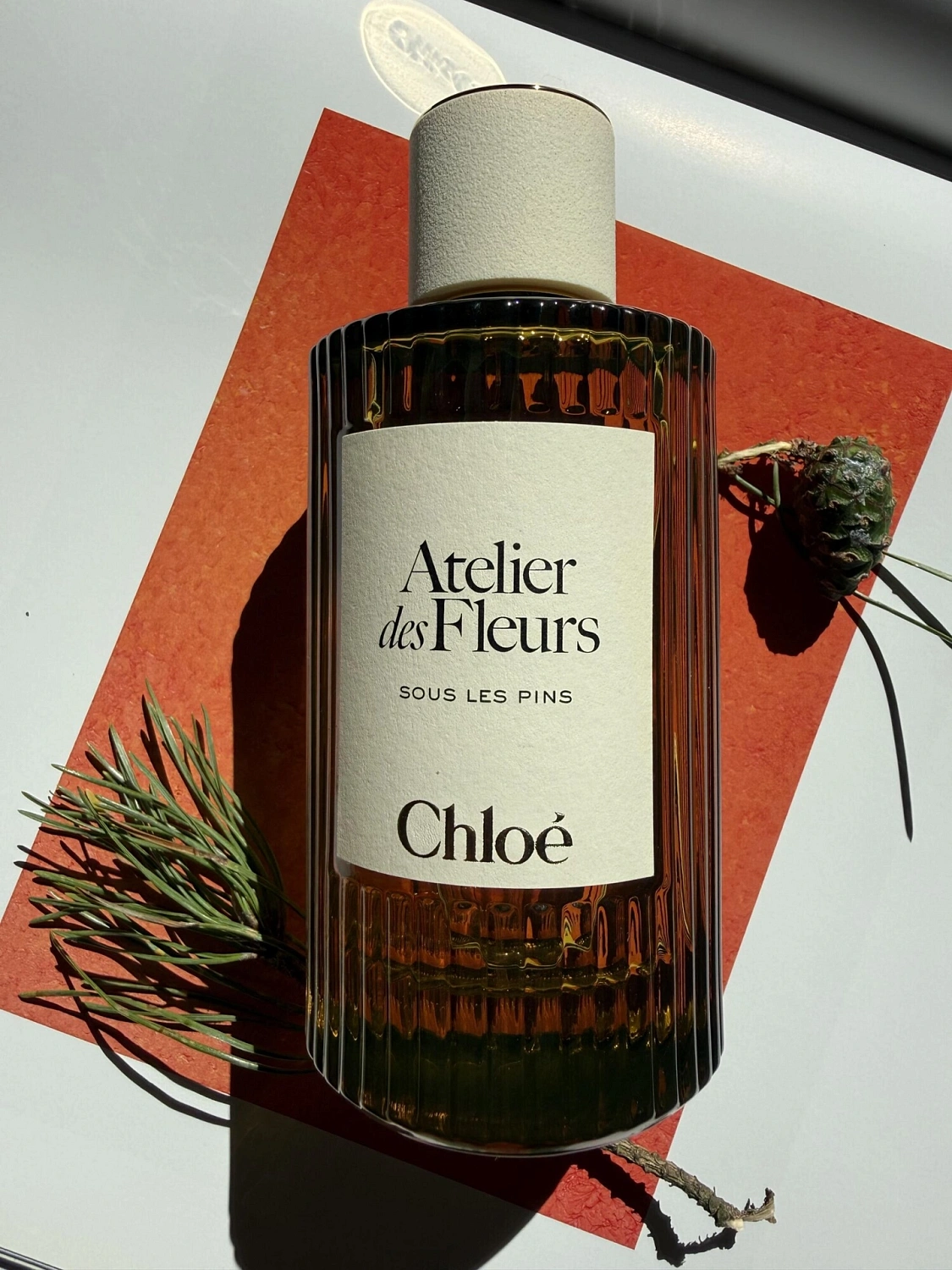 Chloé Sous Les Pins