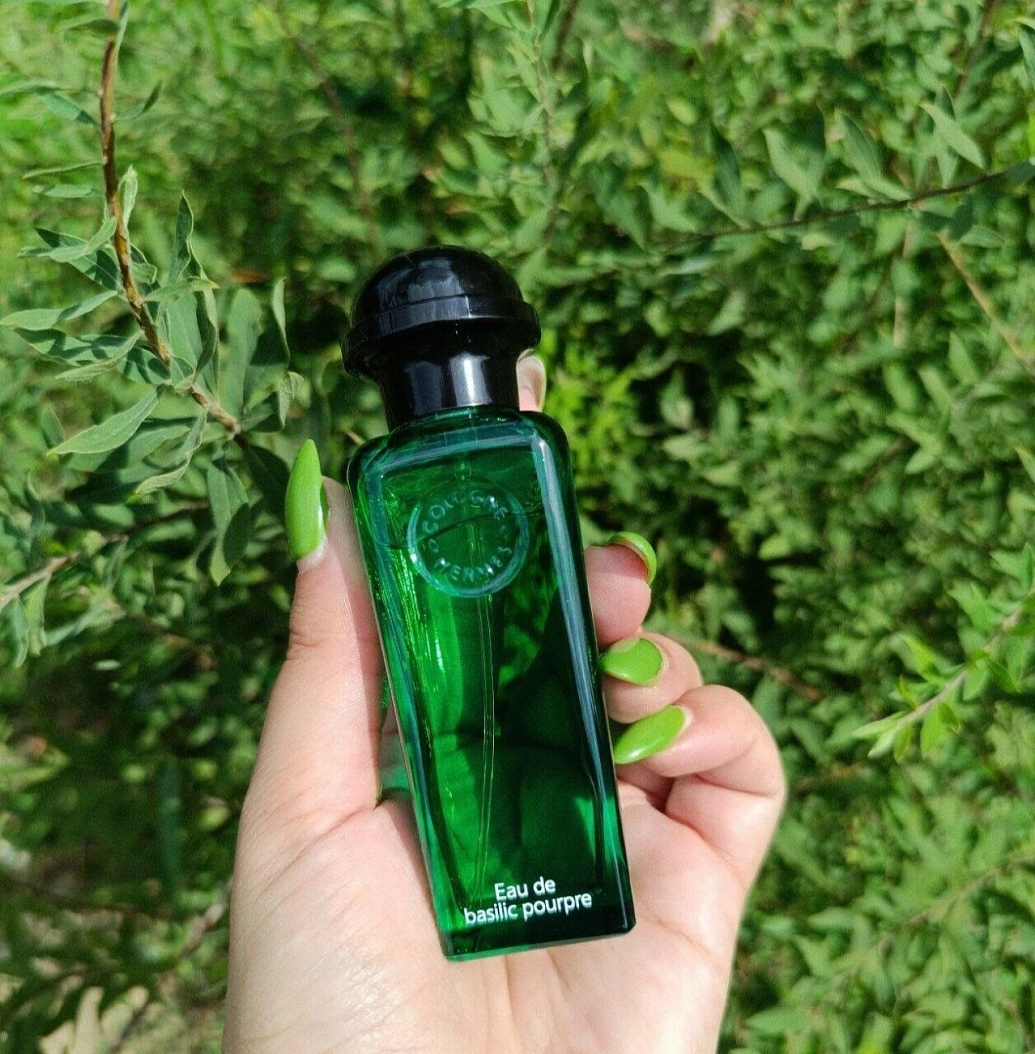 Hermès Eau de Basilic Pourpre