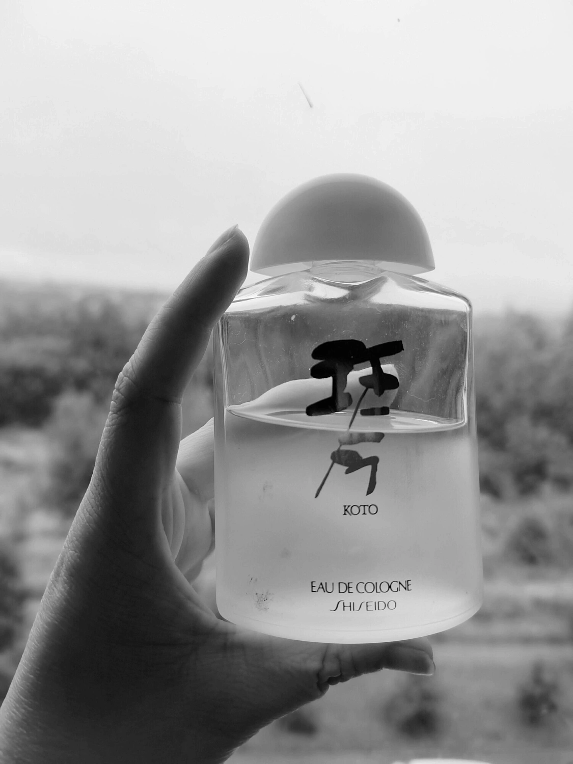 Shiseido Koto