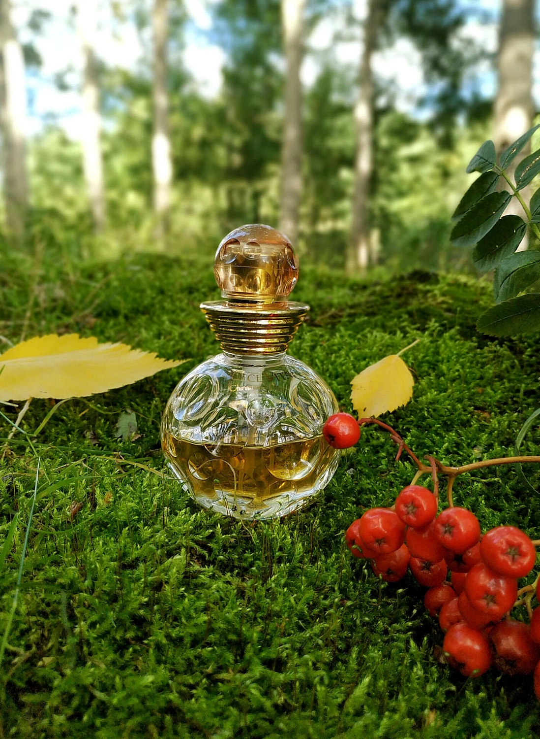 Christian Dior Dolce Vita