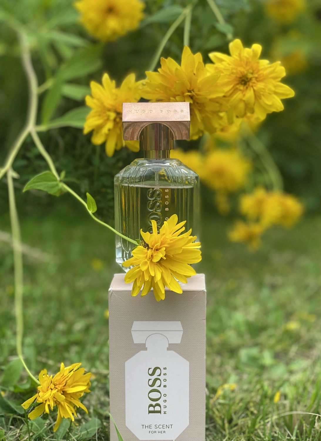 Hugo Boss The Scent for Her Eau de Toilette