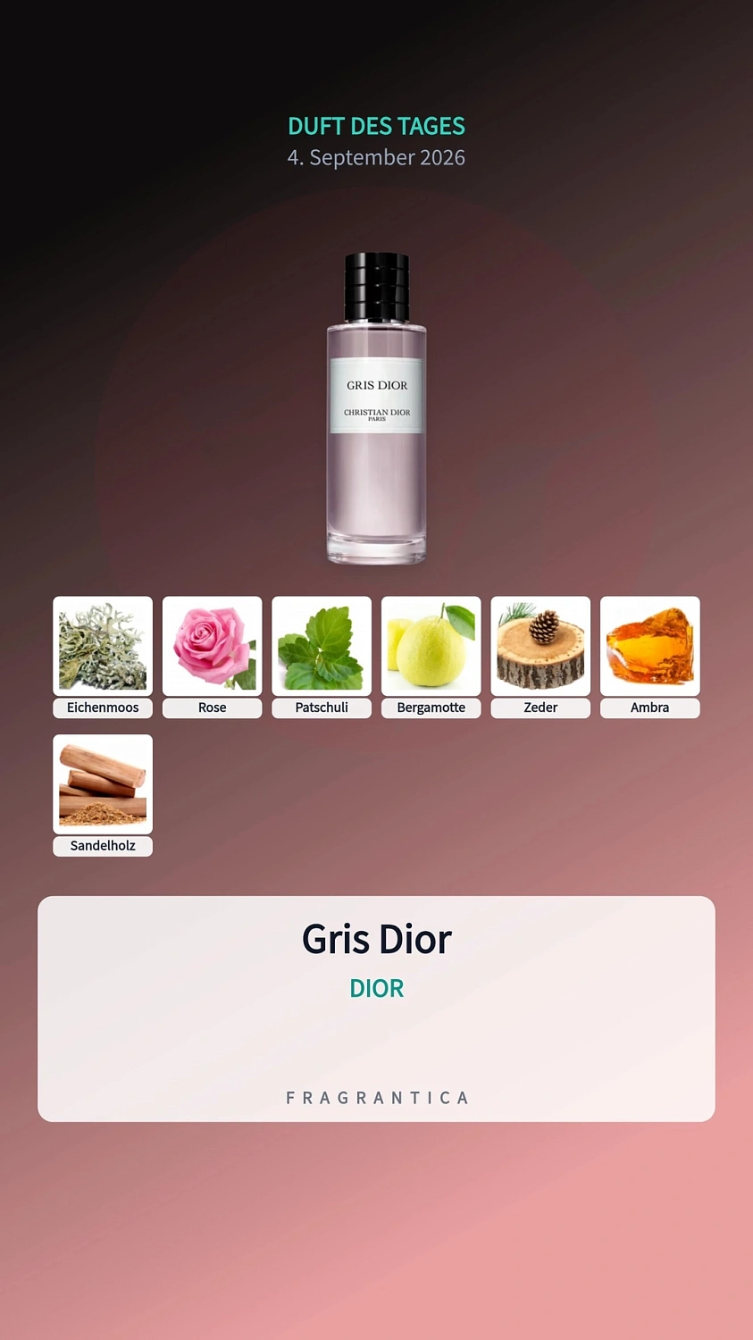Christian Dior Gris Dior