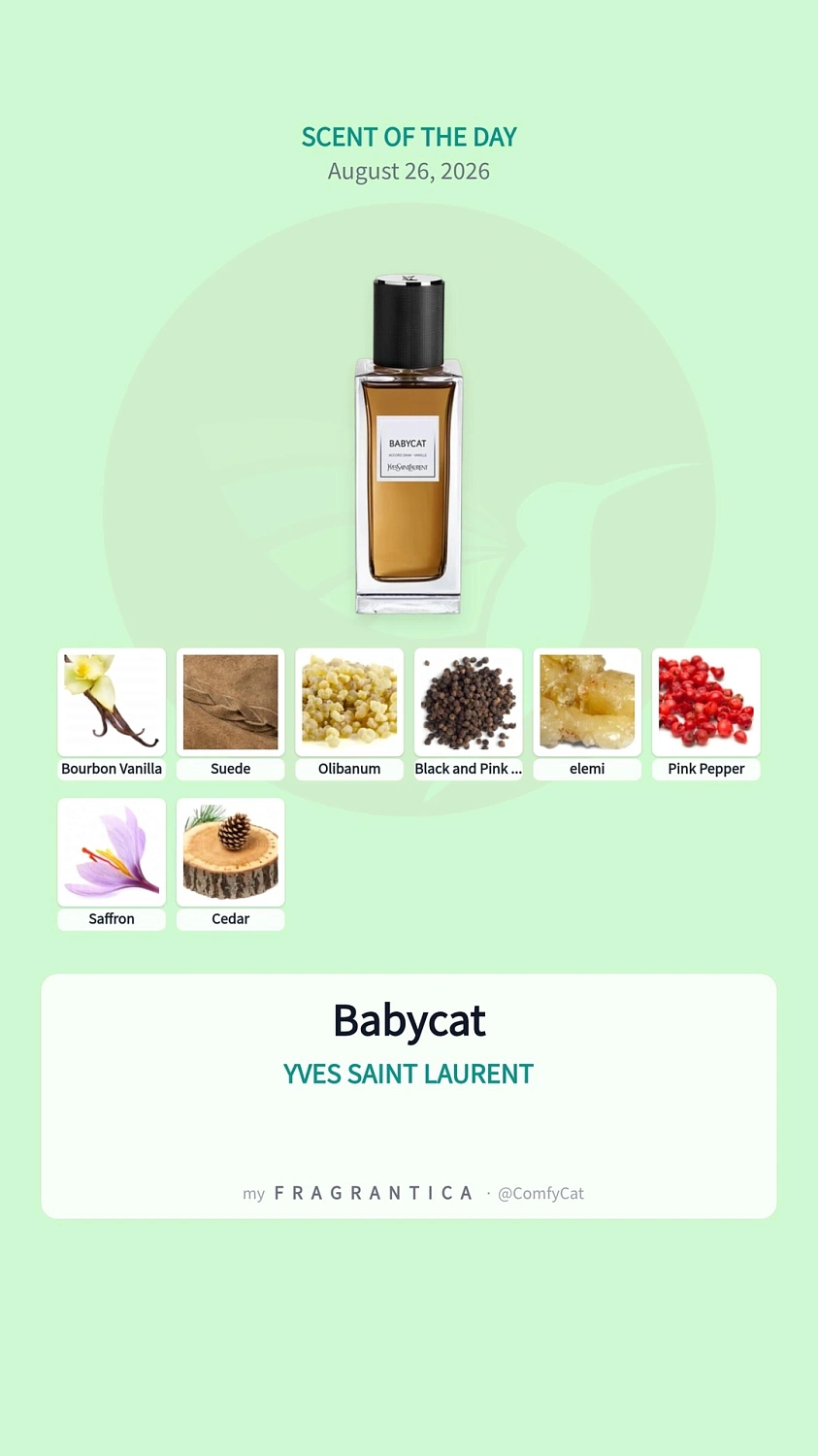 Yves Saint Laurent Babycat