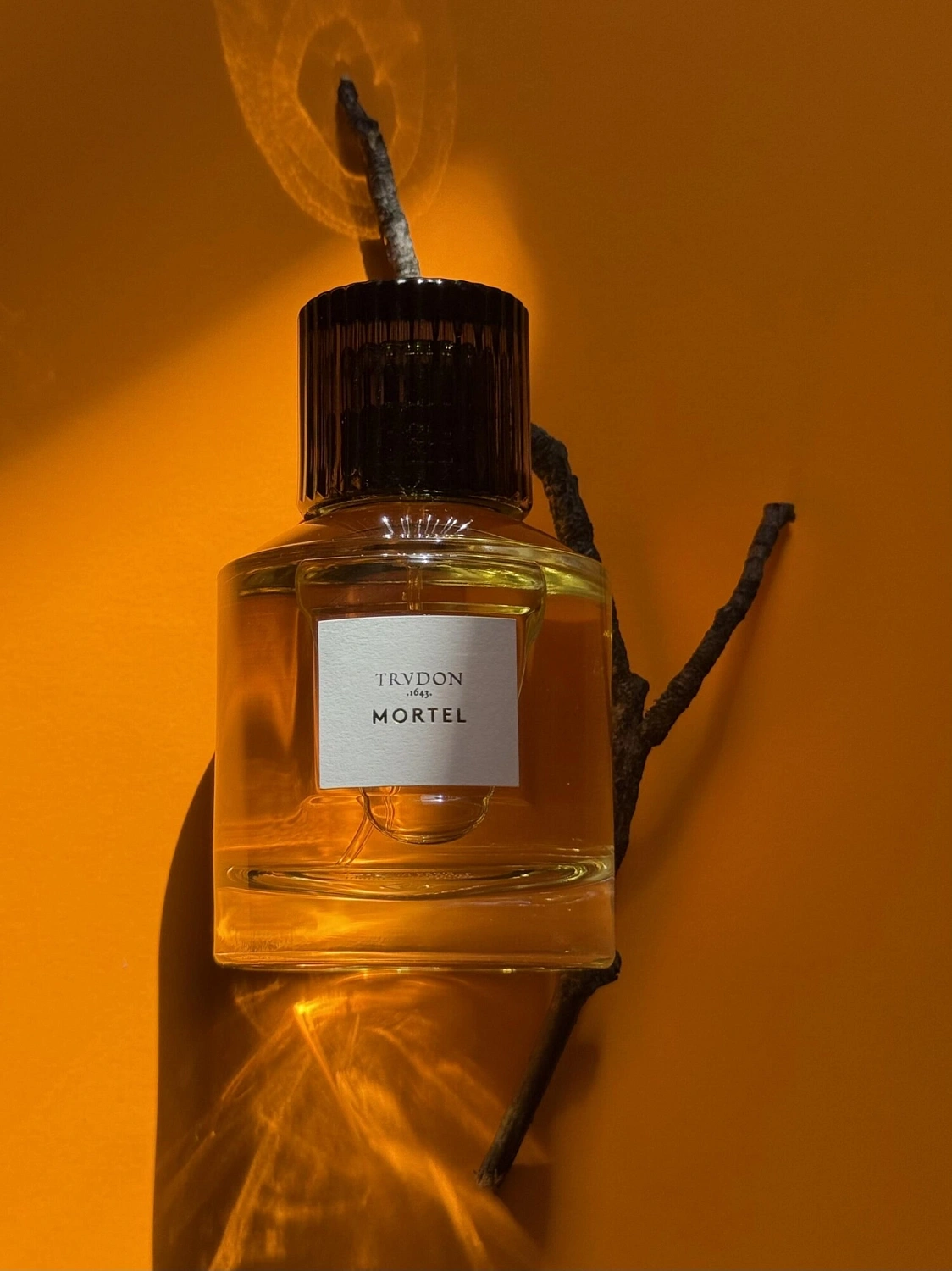 Maison Trudon Mortel