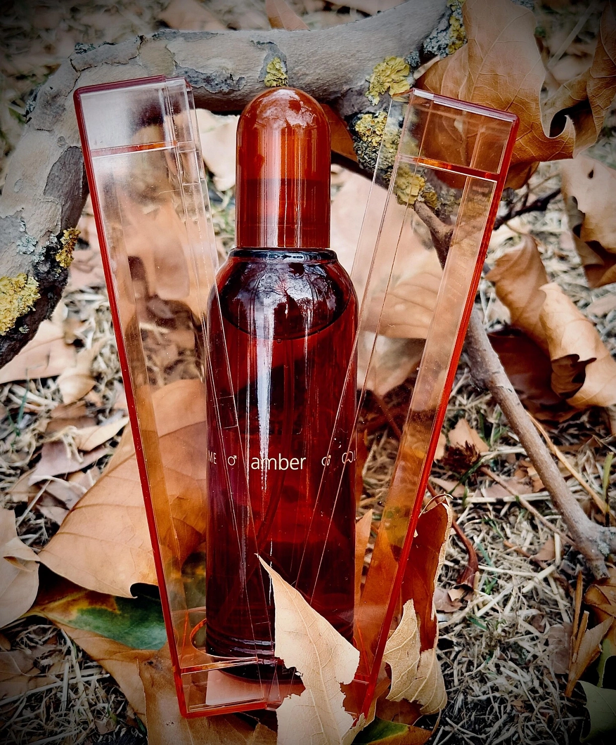 Jean Paul Gaultier Le Male Elixir